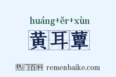 黄耳蕈是什么意思的图片